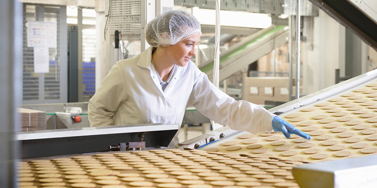 Equipa com vestuário de proteção para indústria alimentar